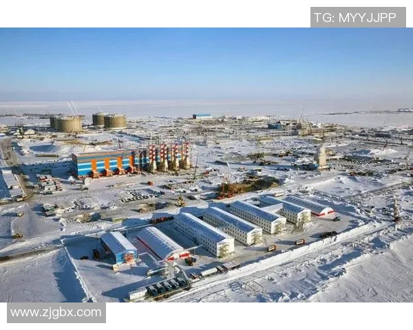 亚马尔地区的能源开发与国际合作前景分析与展望 亚马尔地区的能源开发与国际合作前景分析与展望