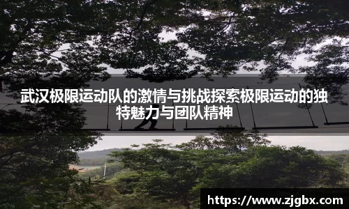 V体育网页版入口