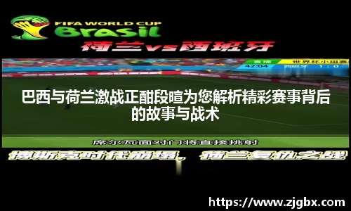 Vsport体育平台