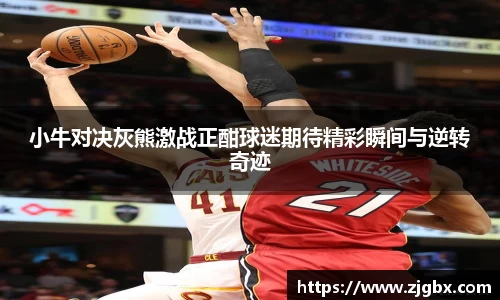 小牛对决灰熊激战正酣球迷期待精彩瞬间与逆转奇迹